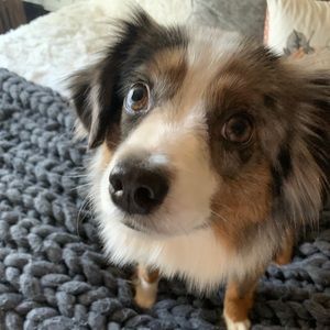 Meet your Posher, Faith